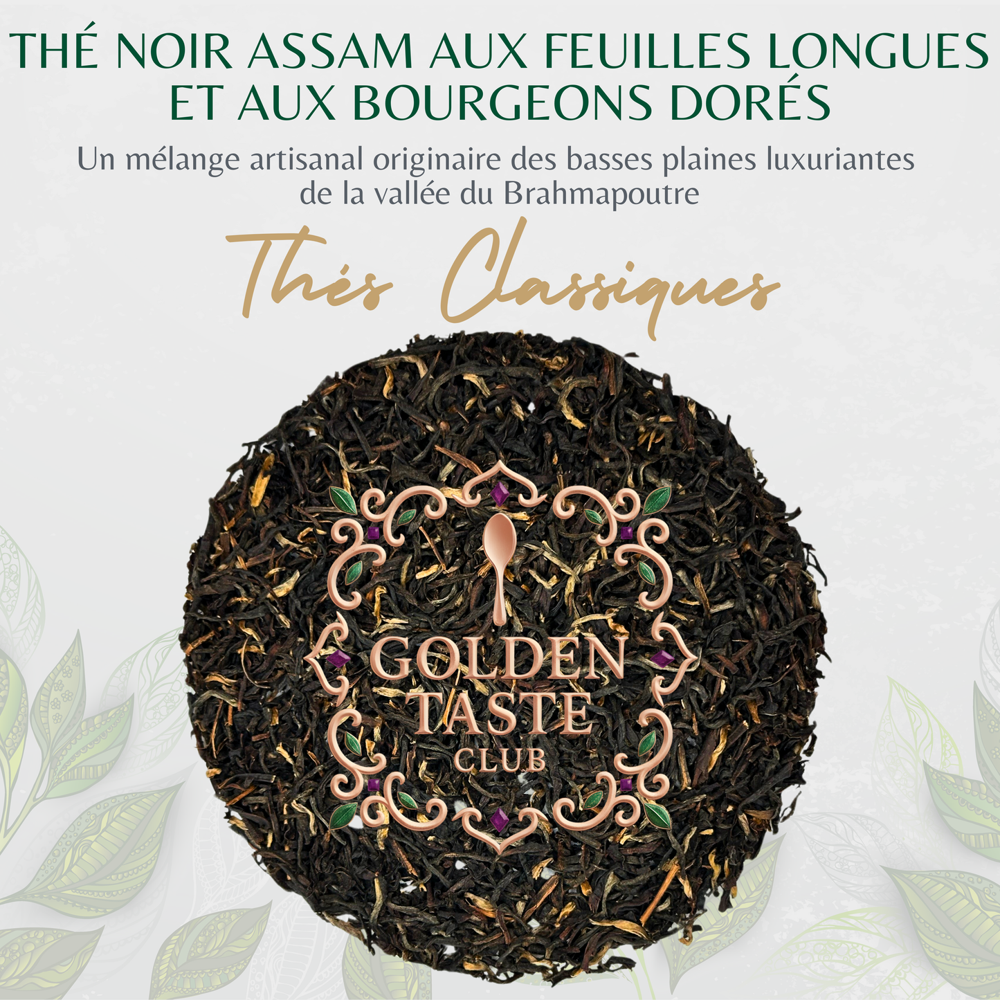 Thé noir Assam aux feuilles longues et aux bourgeons dorés