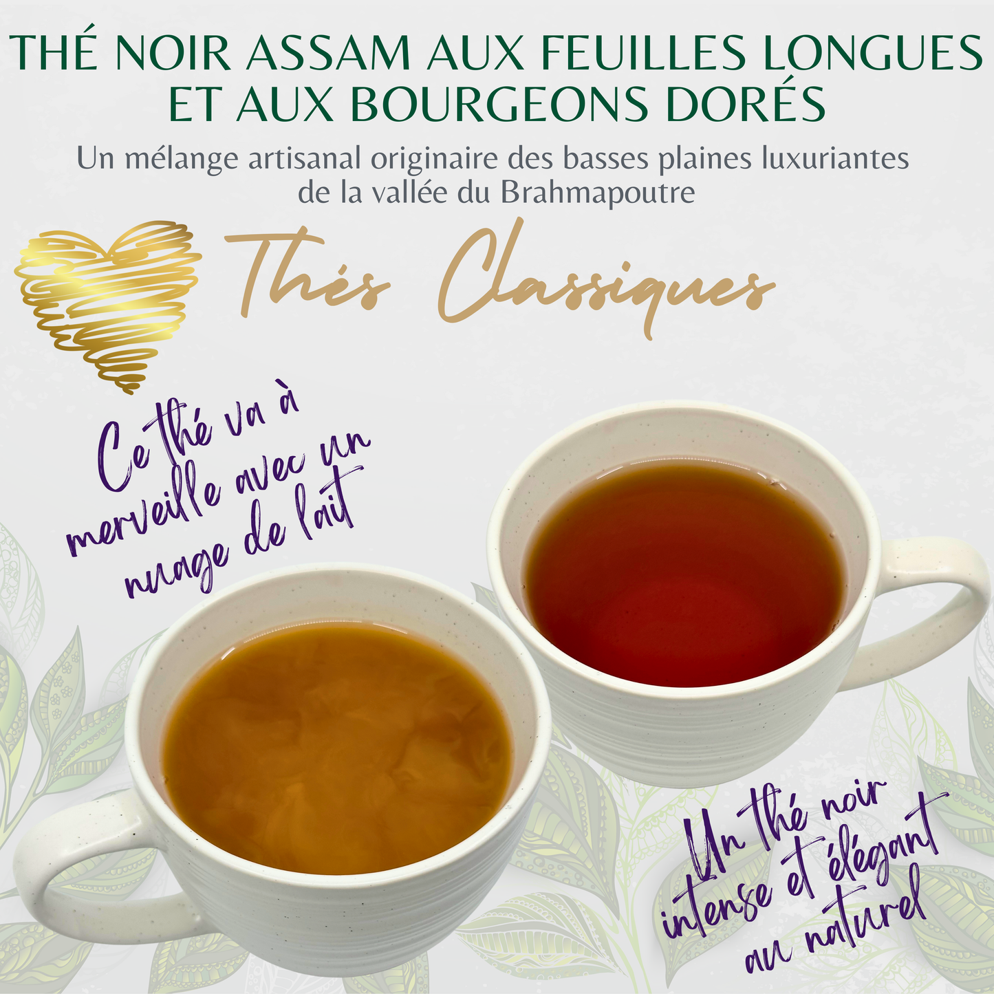 Thé noir Assam aux feuilles longues et aux bourgeons dorés