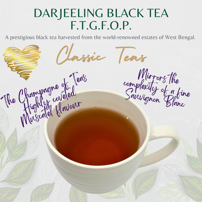 Darjeeling Black Tea - F.T.G.F.O.P.