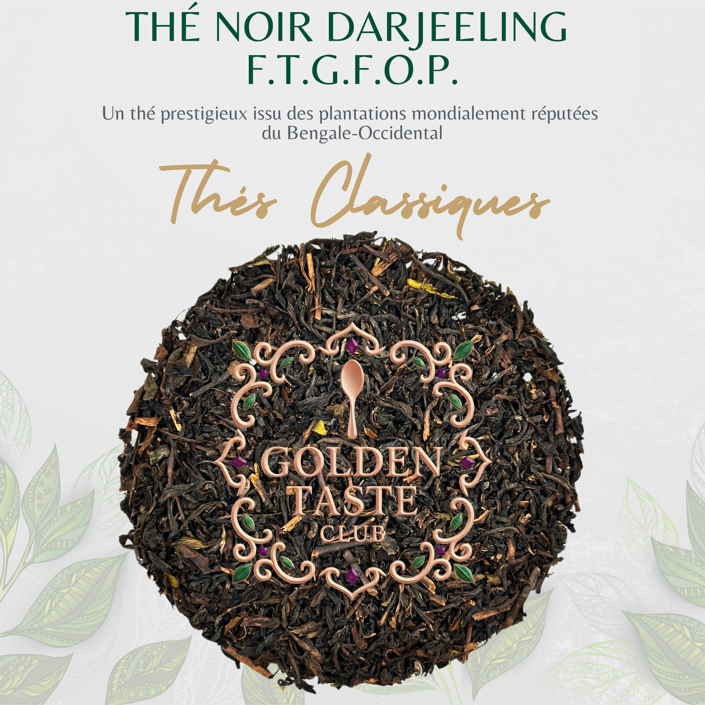 Thé noir Darjeeling (F.T.G.F.O.P.)