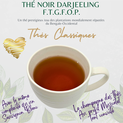 Thé noir Darjeeling (F.T.G.F.O.P.)